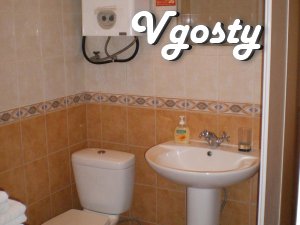 2-bedroom apartment in the center - Apartments for daily rent from owners - Vgosty