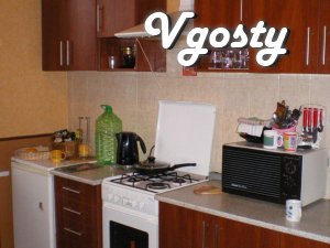 2-bedroom apartment in the center - Apartments for daily rent from owners - Vgosty