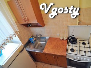 8 хв. до пл.Ринок - Квартири подобово без посередників - Vgosty