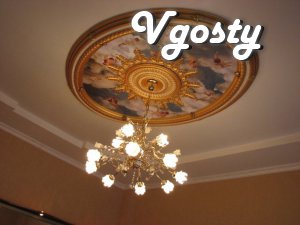 Tsentr.Vip - uroven.Svoya - Apartments for daily rent from owners - Vgosty