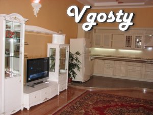 Tsentr.Vip - uroven.Svoya - Apartments for daily rent from owners - Vgosty