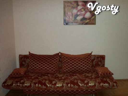 1 kom.kv.Tsentr, M / A station, Uritsky - Apartments for daily rent from owners - Vgosty