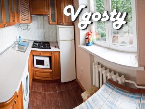 m University, renovation, air conditioning, Wi-Fi - Apartments for daily rent from owners - Vgosty