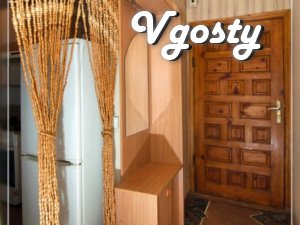 1komn.kvartira, Pushkinskaya - Apartments for daily rent from owners - Vgosty