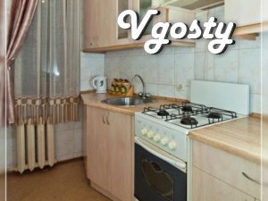 1komn.kvartira, Pushkinskaya - Apartments for daily rent from owners - Vgosty