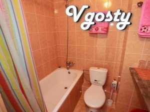 1komnatnaya near Mount m.Holodnaya - Apartments for daily rent from owners - Vgosty