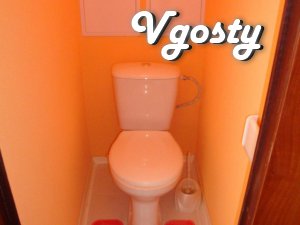 Rent a modern, comfortable 1komnatnuyu - Apartments for daily rent from owners - Vgosty