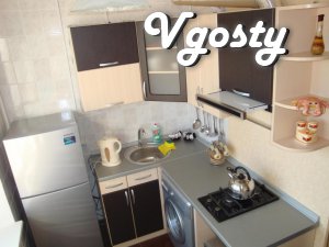 Rent a modern, comfortable 1komnatnuyu - Apartments for daily rent from owners - Vgosty