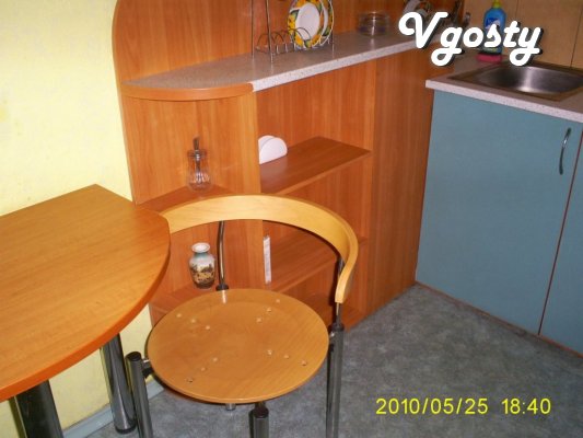 2-com. cozy apartment in the center - Apartments for daily rent from owners - Vgosty