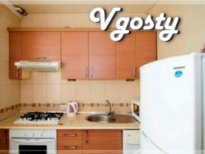 spacious apartment in the center - Apartments for daily rent from owners - Vgosty