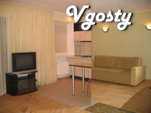 For short term rent their 1komn.kv. - Apartments for daily rent from owners - Vgosty