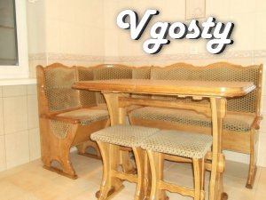 Daily rent studio apartment near the metro 23 - - Apartments for daily rent from owners - Vgosty