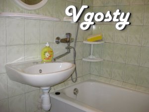 Daily rent one bedroom apartment in the city center. (M - Apartments for daily rent from owners - Vgosty