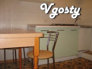 Daily rent one bedroom apartment in the city center. (M - Apartments for daily rent from owners - Vgosty