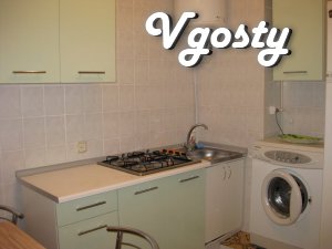 Daily rent one bedroom apartment in the city center. (M - Apartments for daily rent from owners - Vgosty