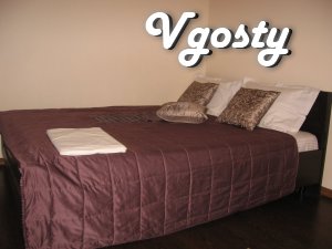 Apartments 1-k. apartment on Obolonskiy Limes - Apartments for daily rent from owners - Vgosty