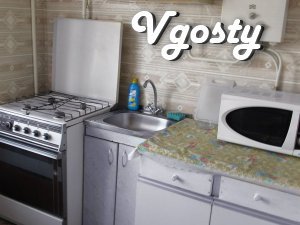 Apartment in the heart of the city, near the Central Market, - Apartments for daily rent from owners - Vgosty