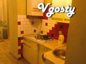 Open spaces and bright apartment , new plumbing imebel , - Apartments for daily rent from owners - Vgosty