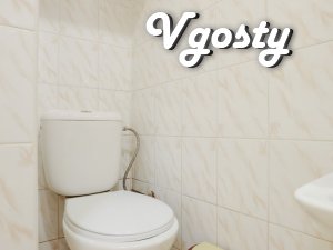 Однокімнатна квартира в центрі - Квартири подобово без посередників - Vgosty