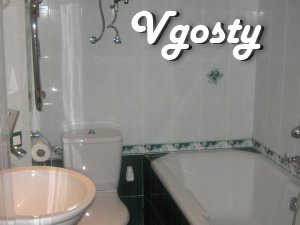 3 BR. apartment near the Opera House - Apartments for daily rent from owners - Vgosty