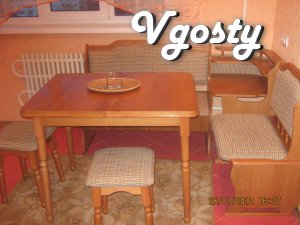 Spacious and beautiful 3-room apartment with a renovated design - Apartments for daily rent from owners - Vgosty