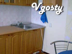 1 komn.prostornaya apartment repairs and the Internet in the middle - Apartments for daily rent from owners - Vgosty