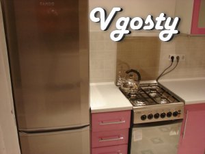 Stylish one bedroom apartment with a renovated design. - Apartments for daily rent from owners - Vgosty