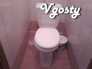 Rent 1-bedroom. apartment, st. Kotsubynskogo, Theater District - Apartments for daily rent from owners - Vgosty