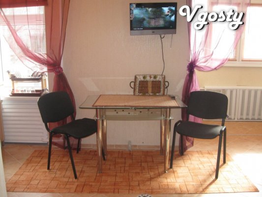 Studio apartment. Author's design. Lenin Ave / st. Garden, - Apartments for daily rent from owners - Vgosty