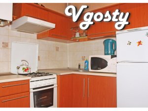 Excellent 2 bedroom apartment on the street. Pushkin.
Rooms - Apartments for daily rent from owners - Vgosty