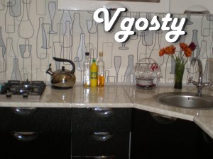 2KOM. serviced apartments Enerhodar - Apartments for daily rent from owners - Vgosty