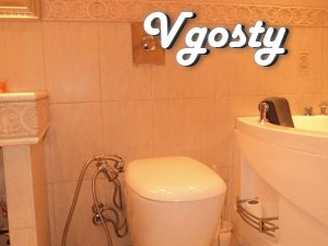 The apartment is made for himself, with a soul! There are all necessar - Apartments for daily rent from owners - Vgosty