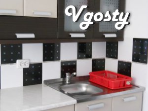 Inexpensive apartment opposite the thermal pool in Beregovo - Apartments for daily rent from owners - Vgosty