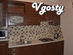 A newly furnished house at the Rynok sqare with satellite, internet - Квартири подобово без посередників - Vgosty