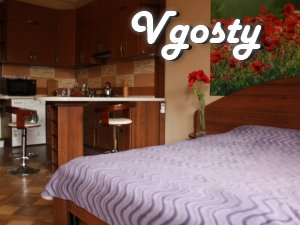 Studio+Patio in Austrian Lwiv - Квартири подобово без посередників - Vgosty