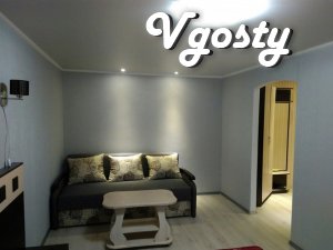 Cozy apartment in the center - Apartments for daily rent from owners - Vgosty