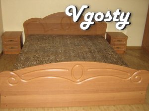 Apartment for rent in the district of Demetov shopping center - Apartments for daily rent from owners - Vgosty